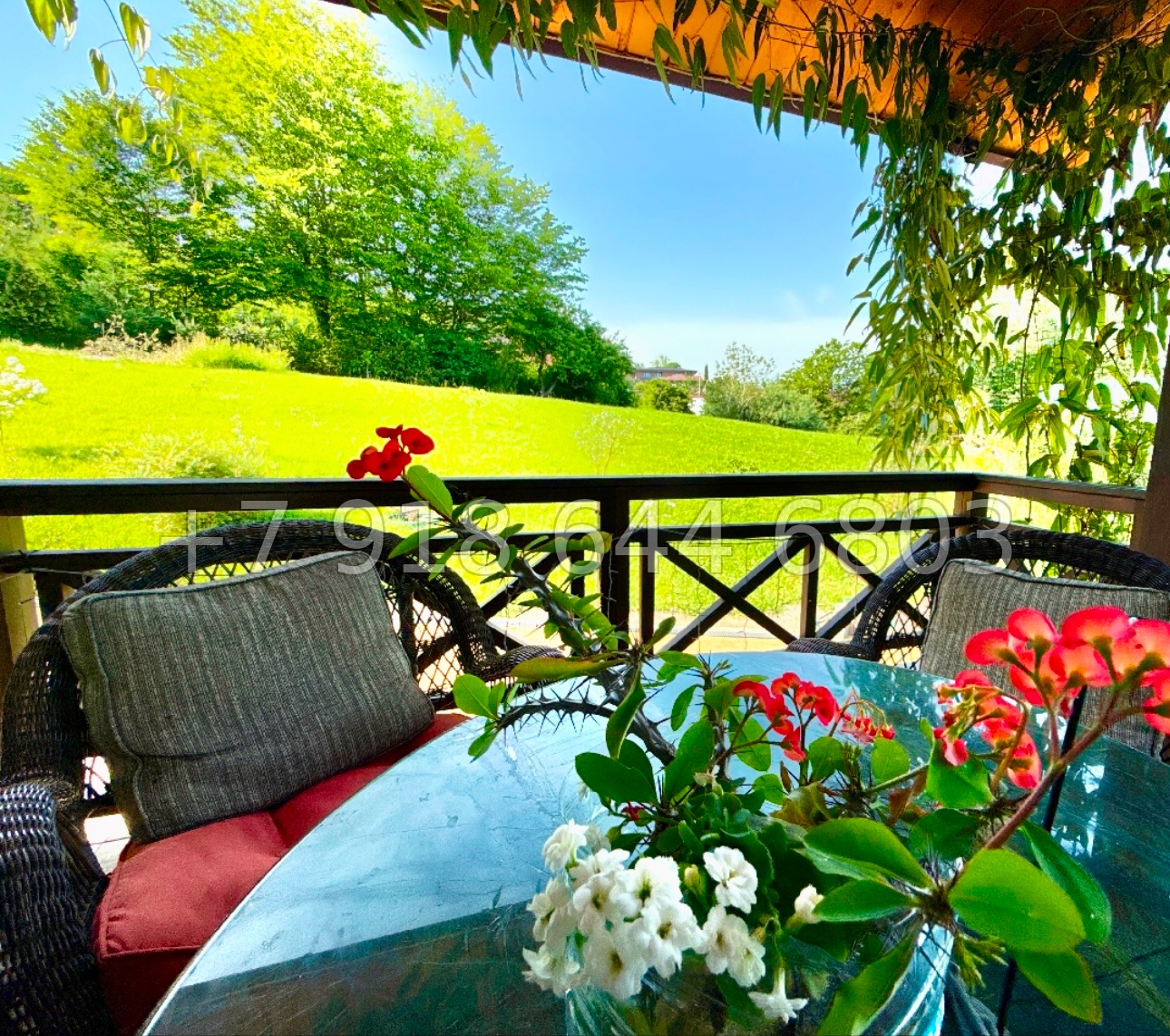 № 77 м. Дом в Сочи. 30 соток земли  - миниатюра 13