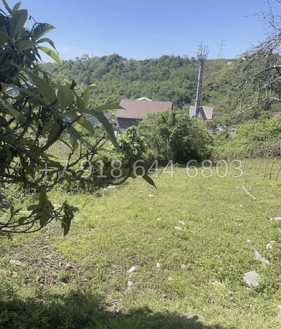 № 14 у. Земля в Адлере  - миниатюра 4