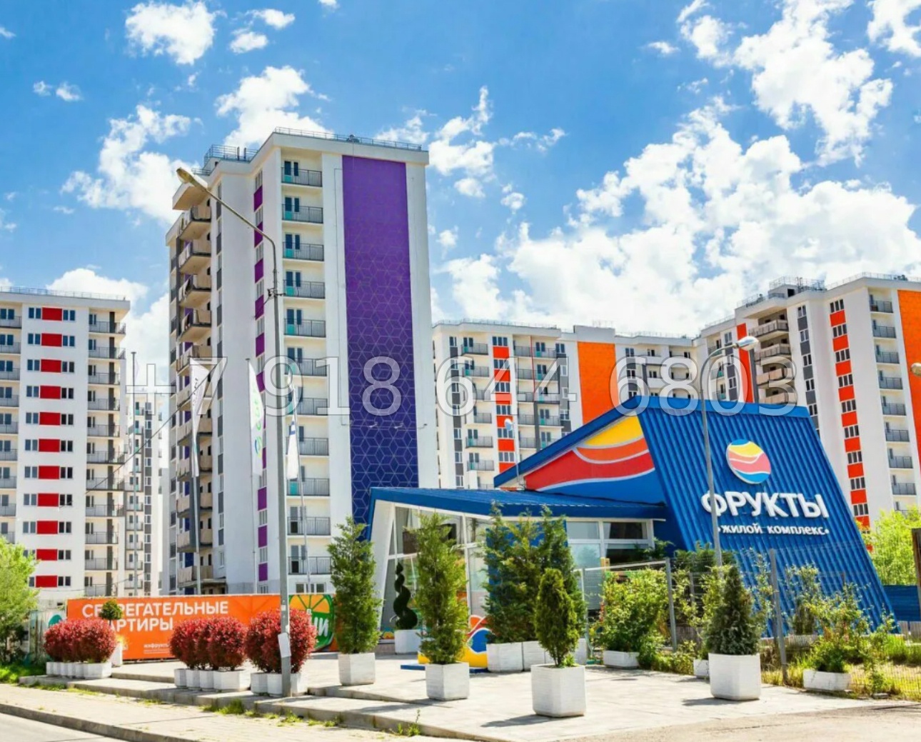 № 877. Квартира в Сириусе ЖК Фрукты  - миниатюра 18