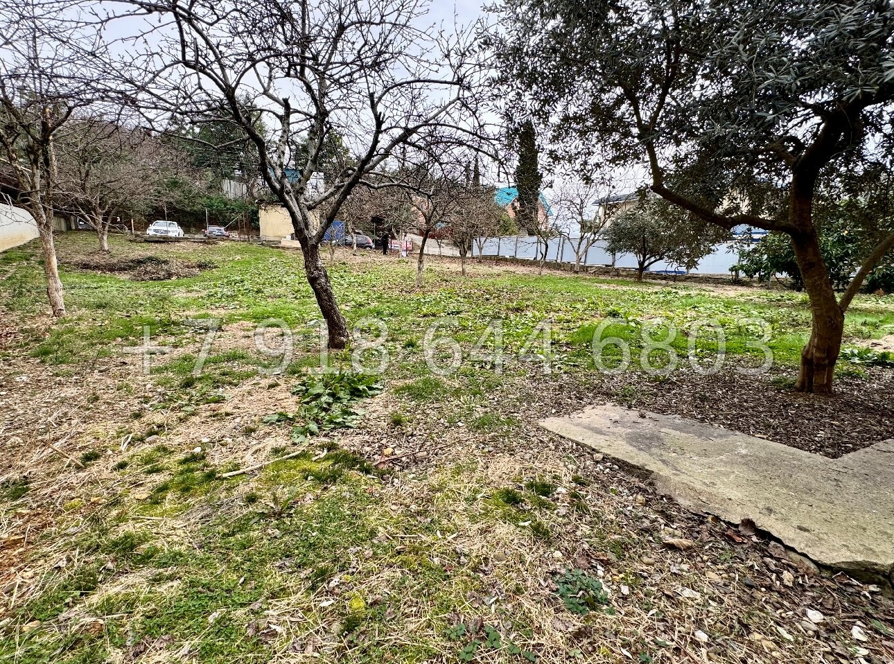 № 8у. Земля в Адлере у Сириуса  - миниатюра 8