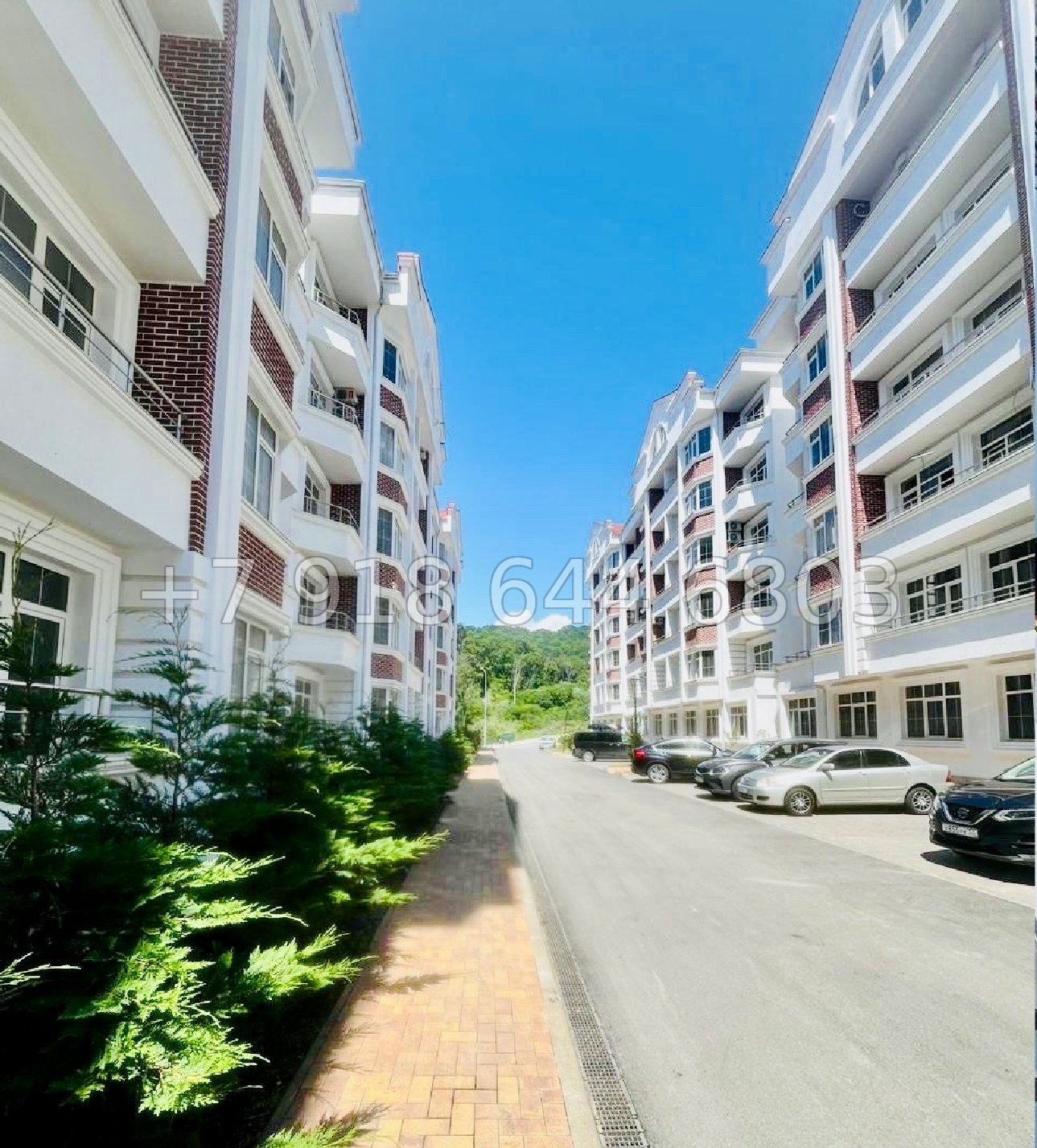 № 174 п. Квартира в Адлере на море - миниатюра 9