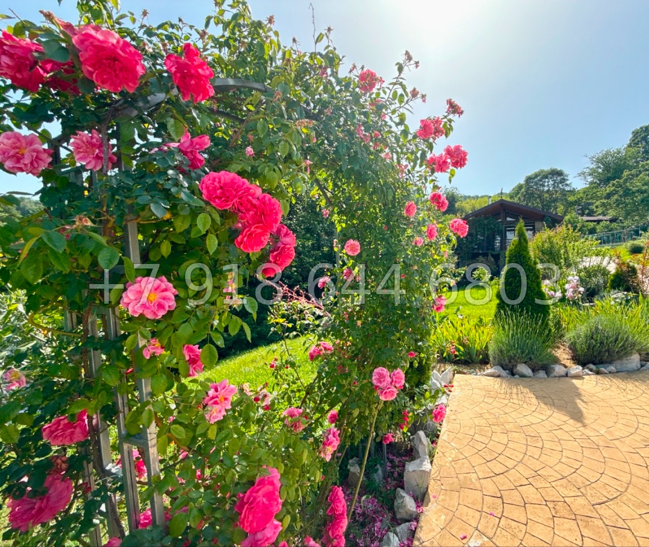 № 77 м. Дом в Сочи. 30 соток земли  - миниатюра 12