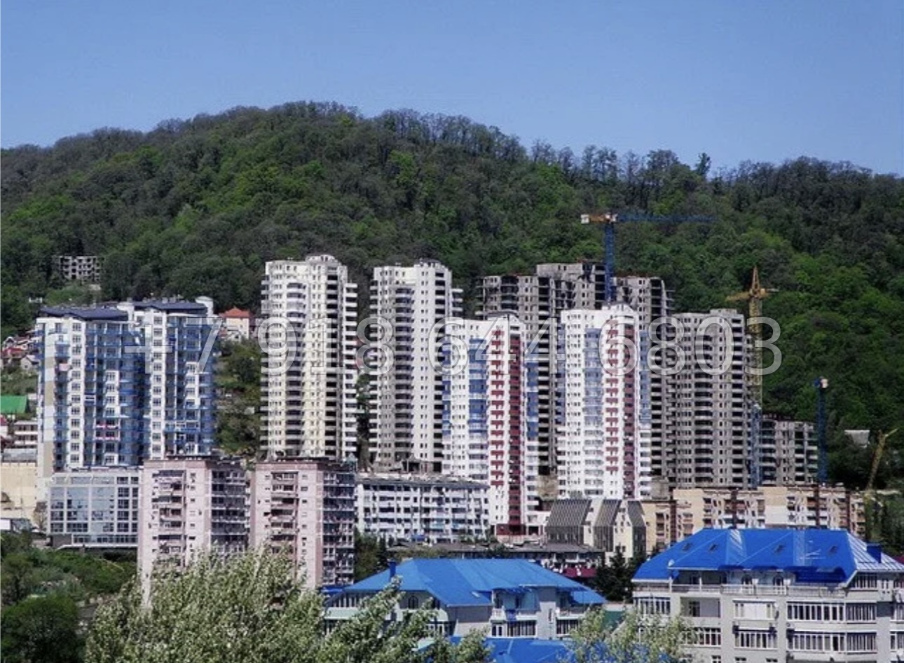 № 231 п. Квартира на море в Сочи  - миниатюра 16