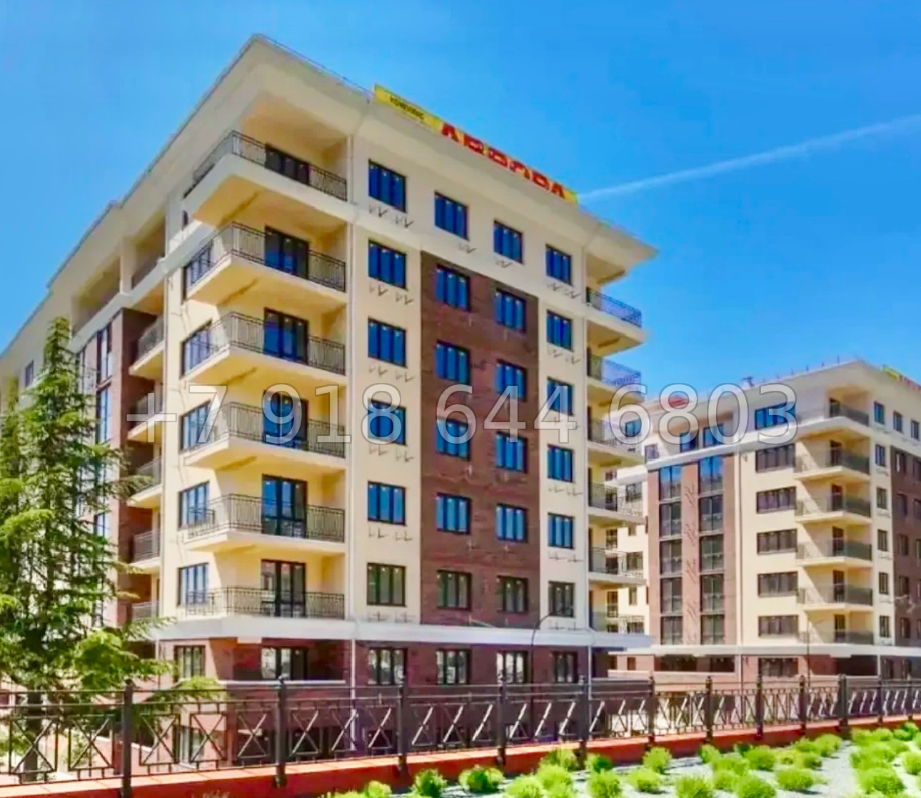 № 45 г. Крым Ялта апартаменты на море  - миниатюра 23