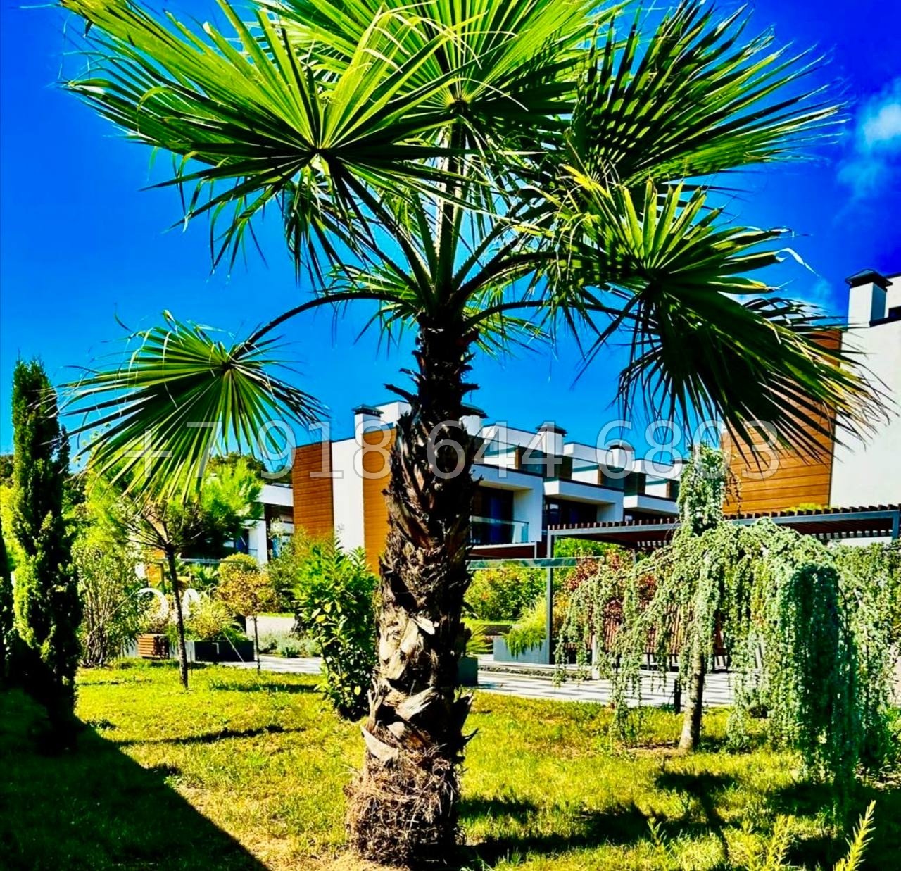 № 4 А. Таунхаус в Адлере  - миниатюра 12