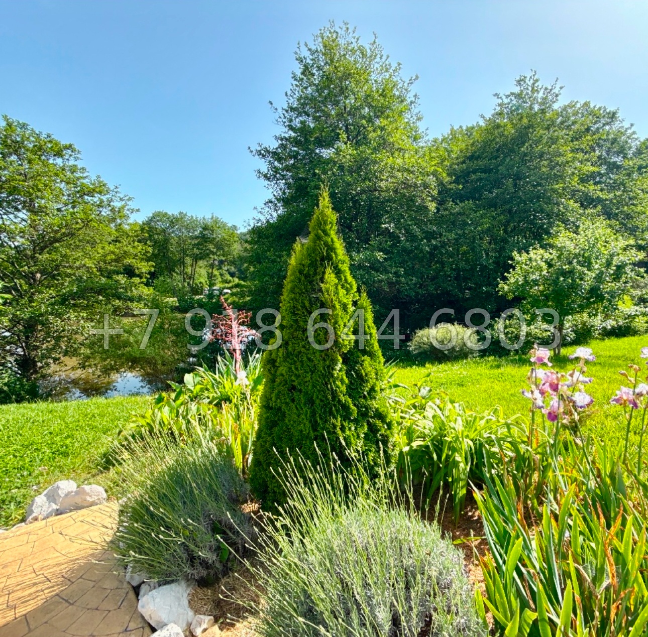 № 77 м. Дом в Сочи. 30 соток земли  - миниатюра 6