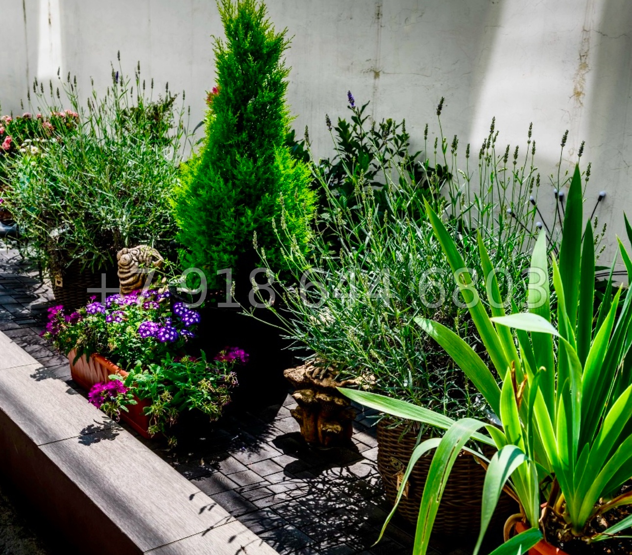 № 166 Б. Два дома в Центральном районе города Сочи  - миниатюра 4