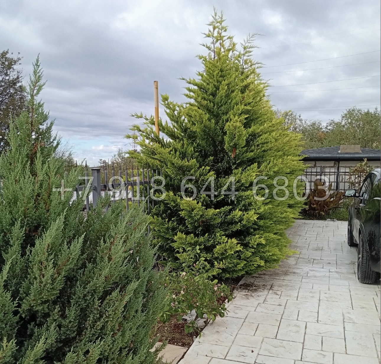 № 242 в. Дом с ремонтом в Адлере  - миниатюра 5