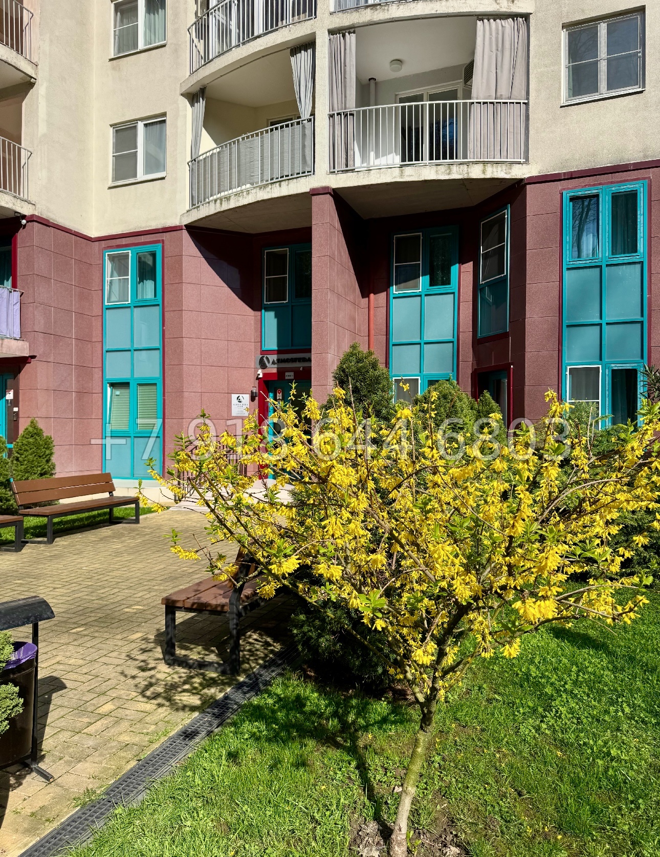 № 588 р. Квартира у Дендрария в городе Сочи  - миниатюра 19
