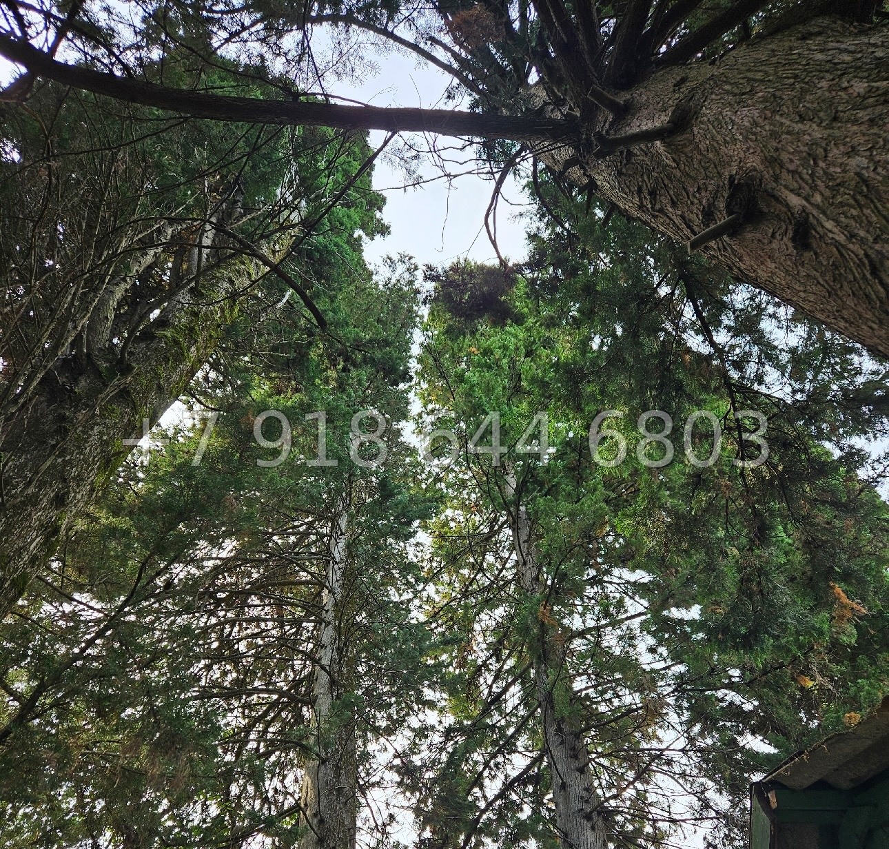 № 126 А. Дом в Сочи на Ахун - миниатюра 12