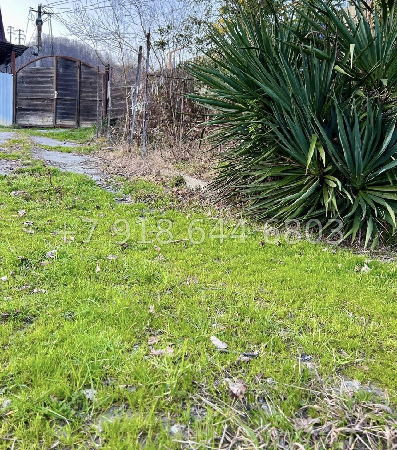 № 11у. Земля с домом в Сочи  - миниатюра 4