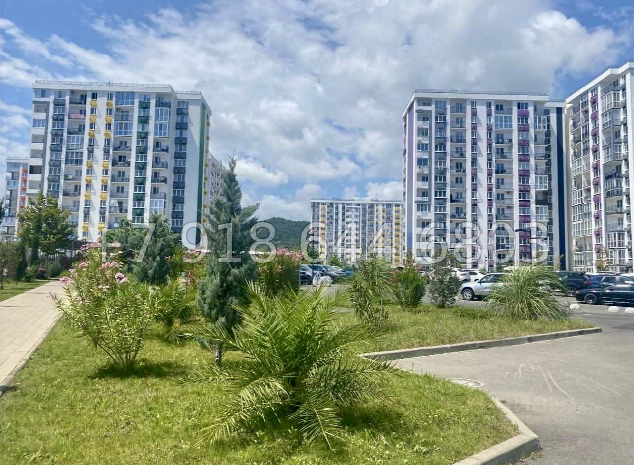 № 196 р. ЖК Фрукты Сириус  - миниатюра 23