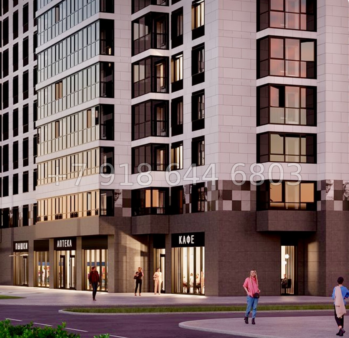 № 16 ы. (СДАН) Метро Девяткино. Метро Парнас. ЖК Фотограф Мурино - миниатюра 6