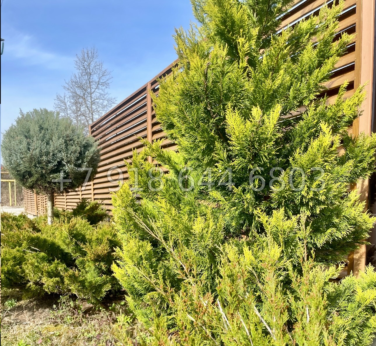 № 218 Б. Дом у школы в Дагомысе Сочи с бассейном  - миниатюра 3