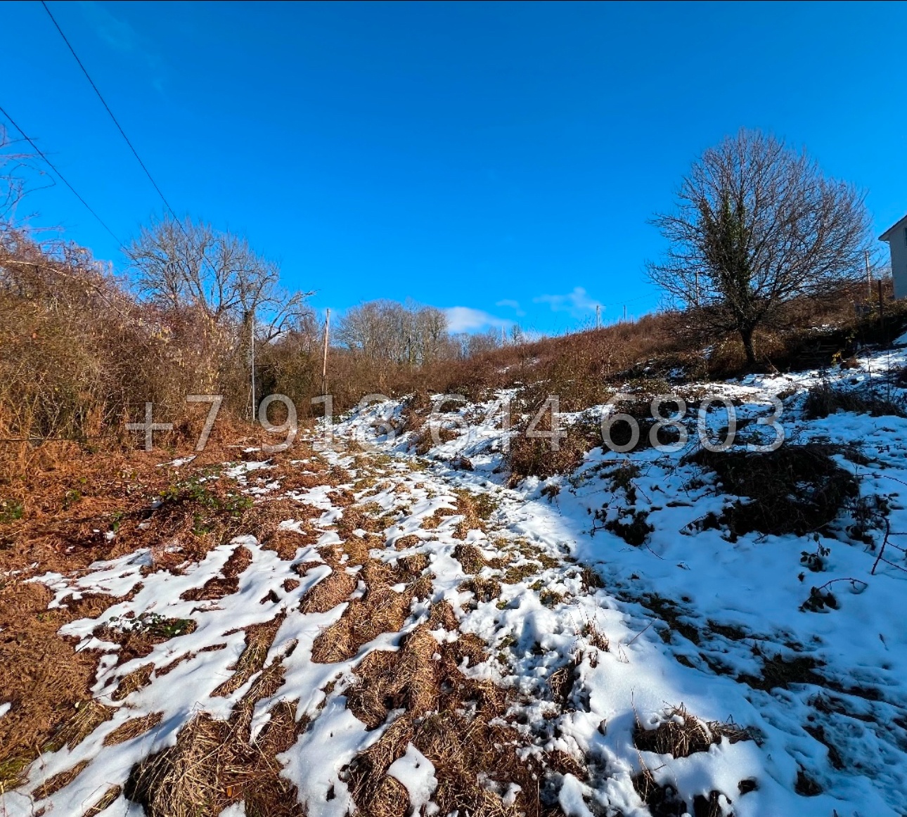 № 3у. Земля в Сочи Хлебород - миниатюра 1