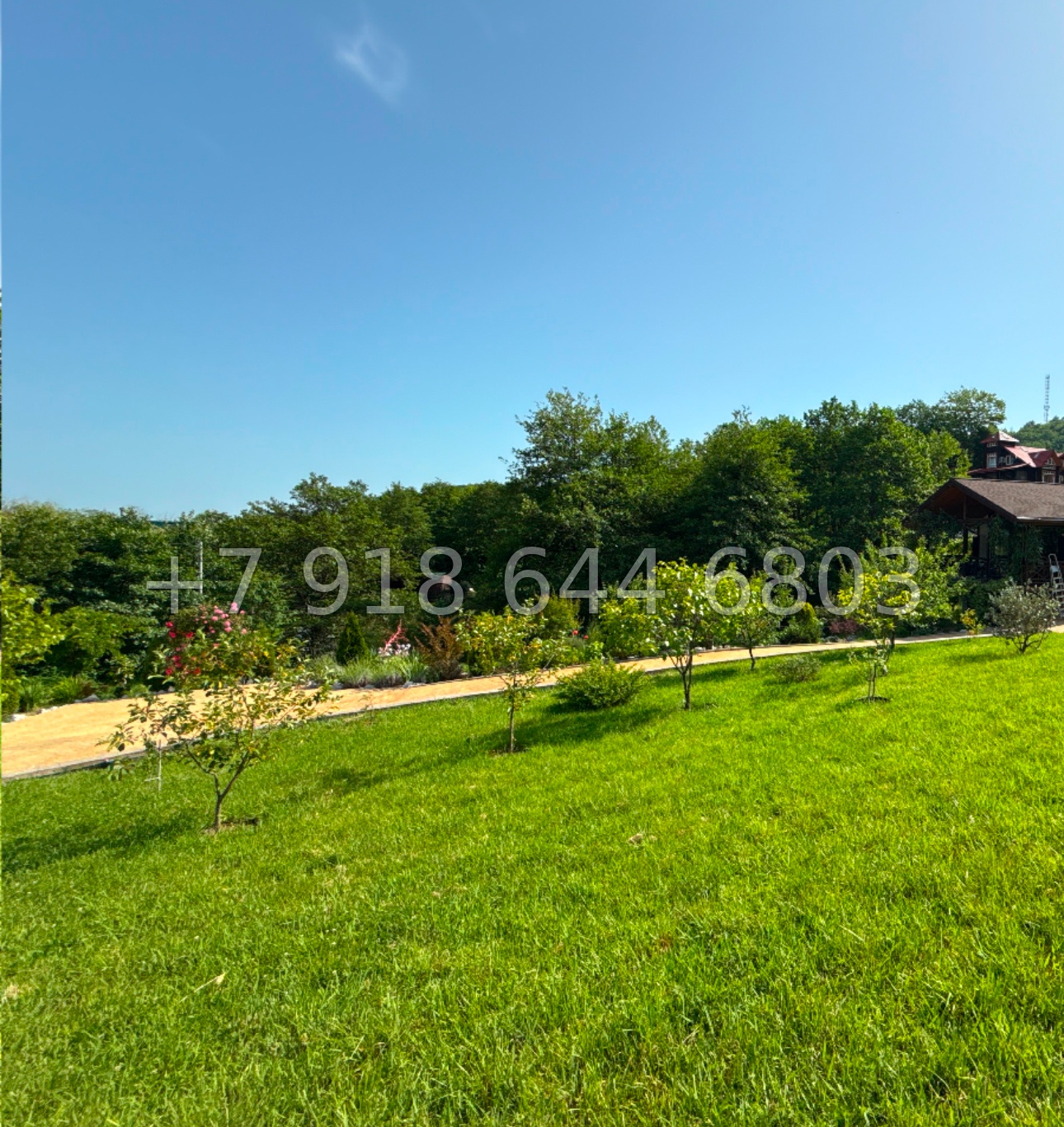 № 77 м. Дом в Сочи. 30 соток земли  - миниатюра 5