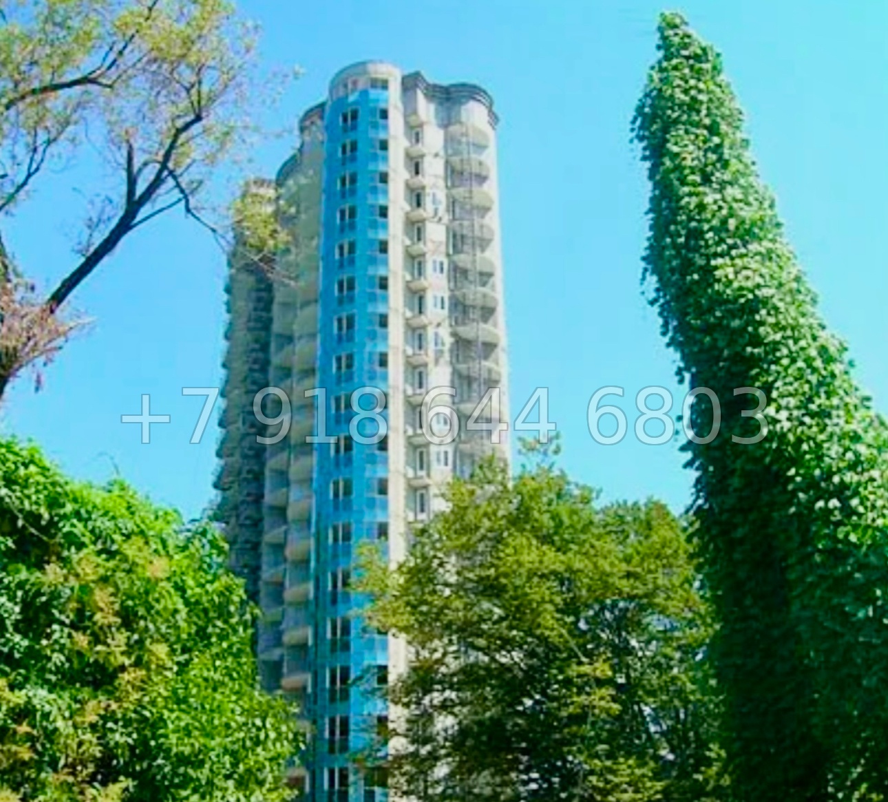 № 443 р. У Дендрария в Сочи хорошая квартира  - миниатюра 7