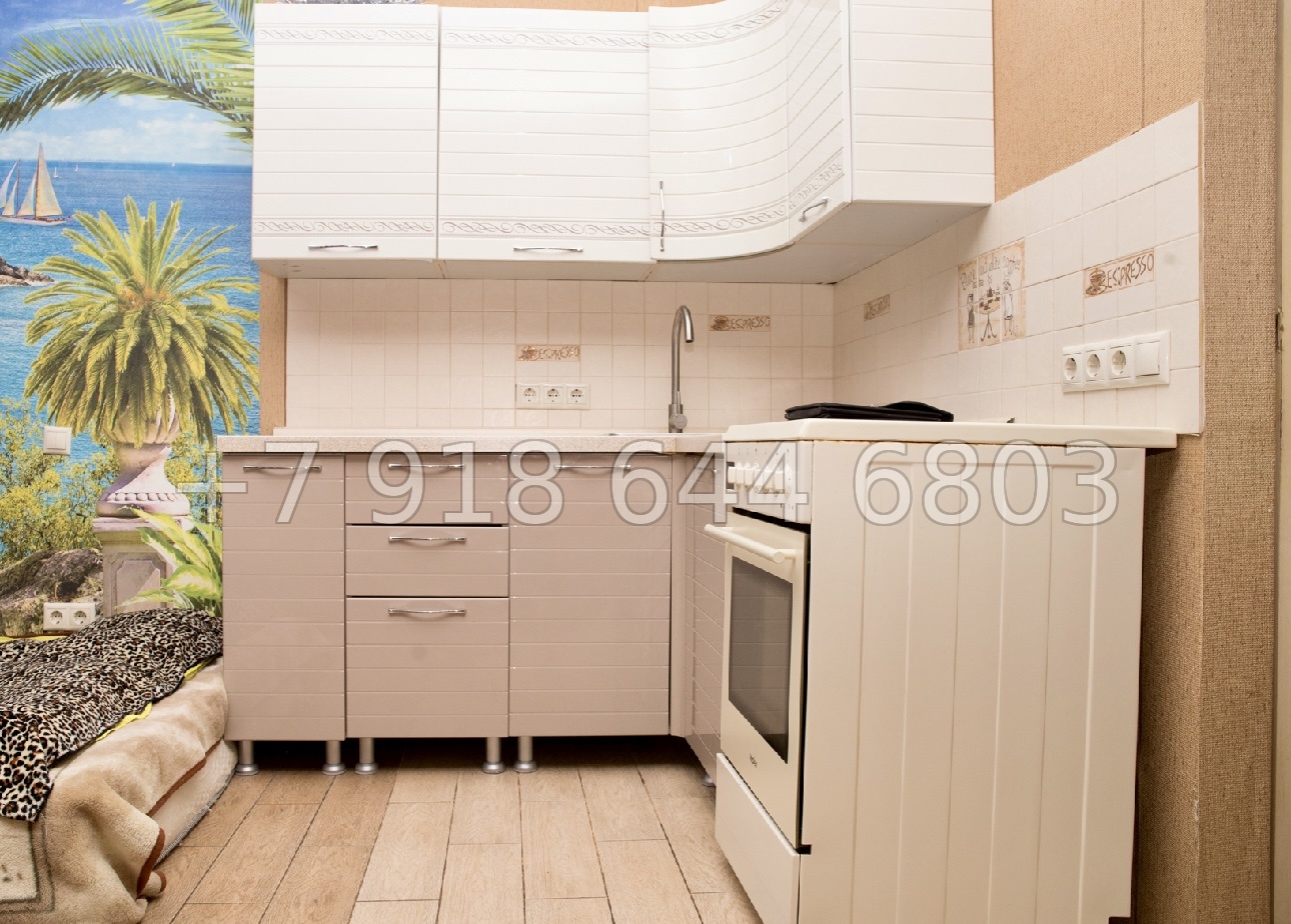 № 47п. Квартира в Адлере, недалеко от Сириуса  - миниатюра 2