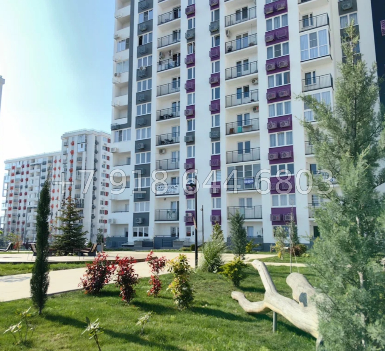 № 341 р. Двухкомнатная квартира в ЖК Фрукты Сириус  - миниатюра 26