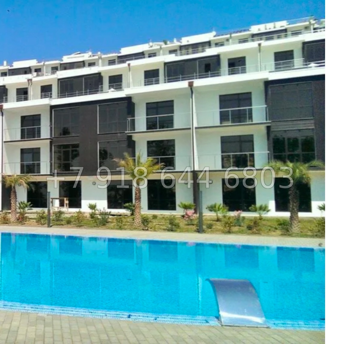 № 477 р. Квартира с видом на море в Сочи и с бассейном  - миниатюра 12