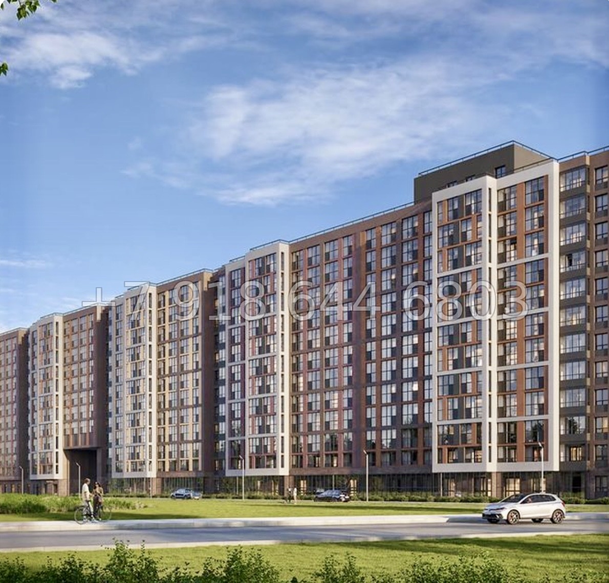 № 84 в. Метро Парнас. ЖК Dogma. Юкки - миниатюра 3