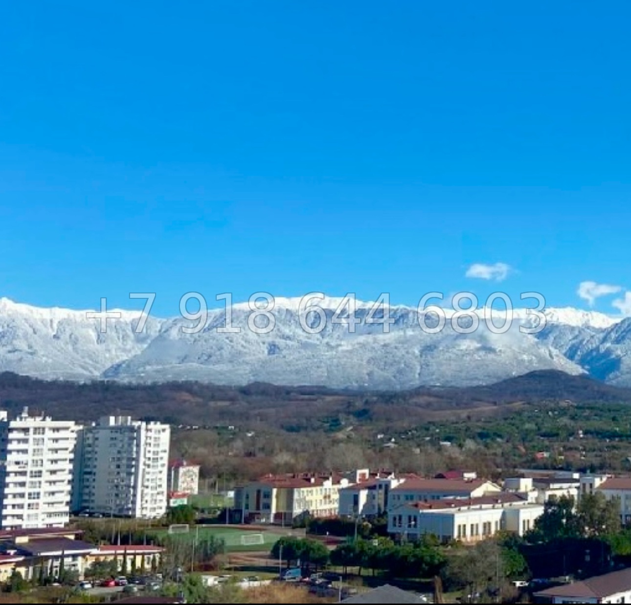 № 196 р. ЖК Фрукты Сириус  - миниатюра 19