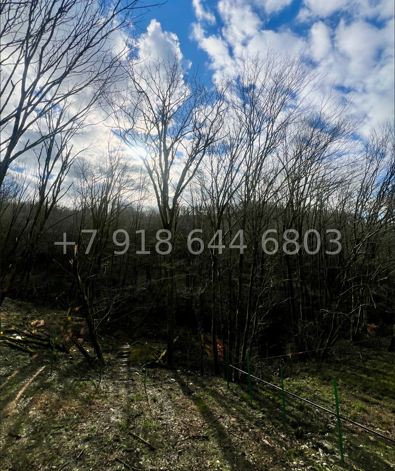 № 76 Б. Два дома Шале в Дагомысе Сочи  - миниатюра 15