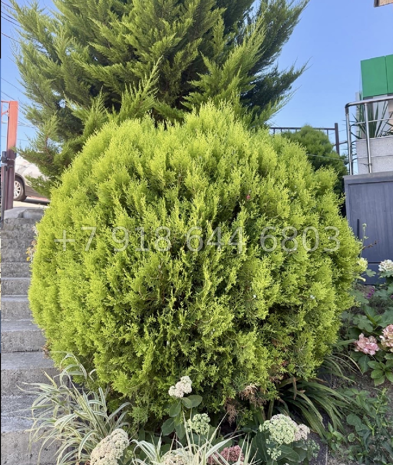 № 37 ш. Жилье в Сочи с крутым ремонтом  - миниатюра 13