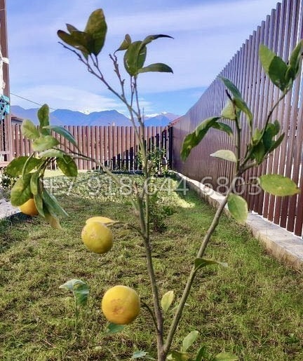 № 93 А. Дом с ремонтом в Адлере  - миниатюра 32