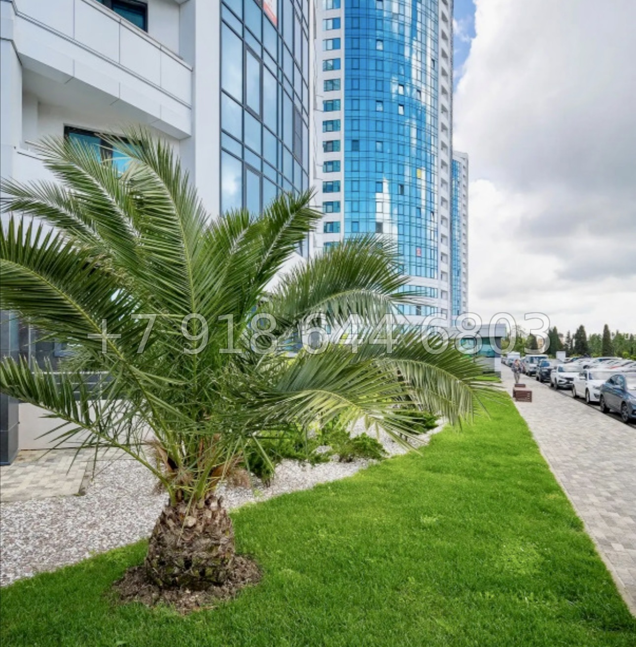 № 360 р. Квартира на море в Адлере ЖК Морская Симфония  - миниатюра 3