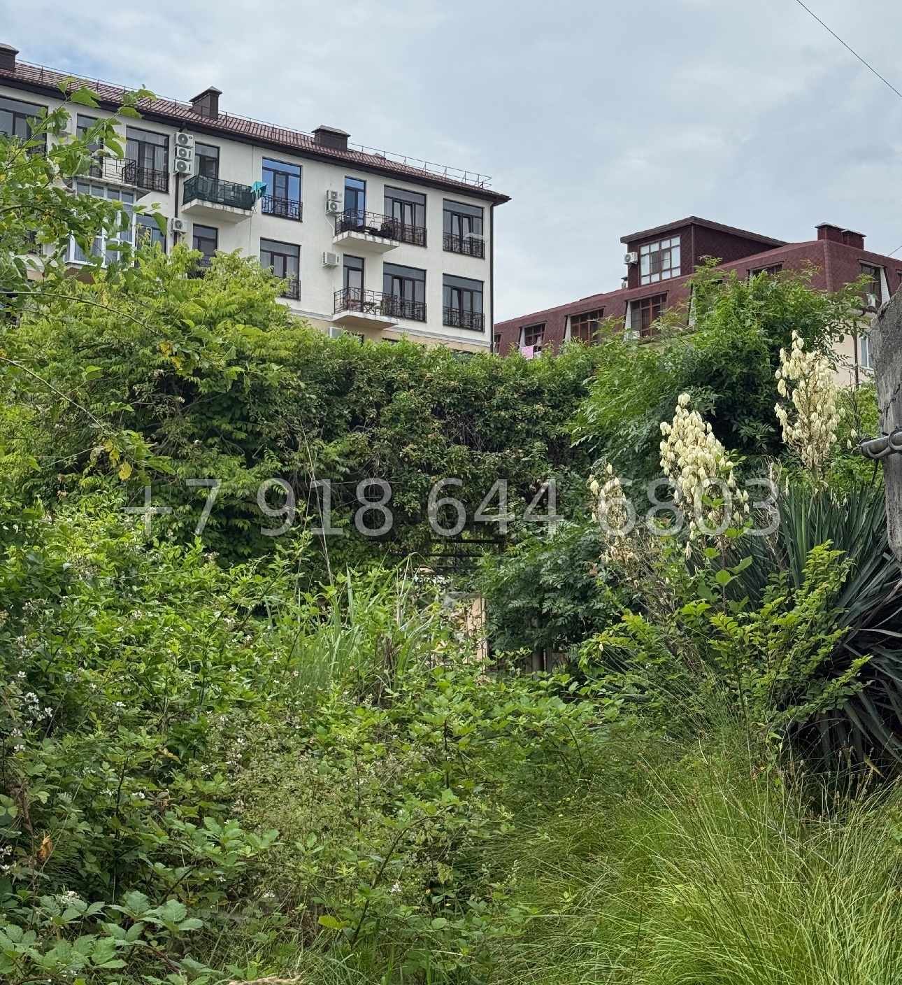 № 4у. Дом в Сочи  - миниатюра 12