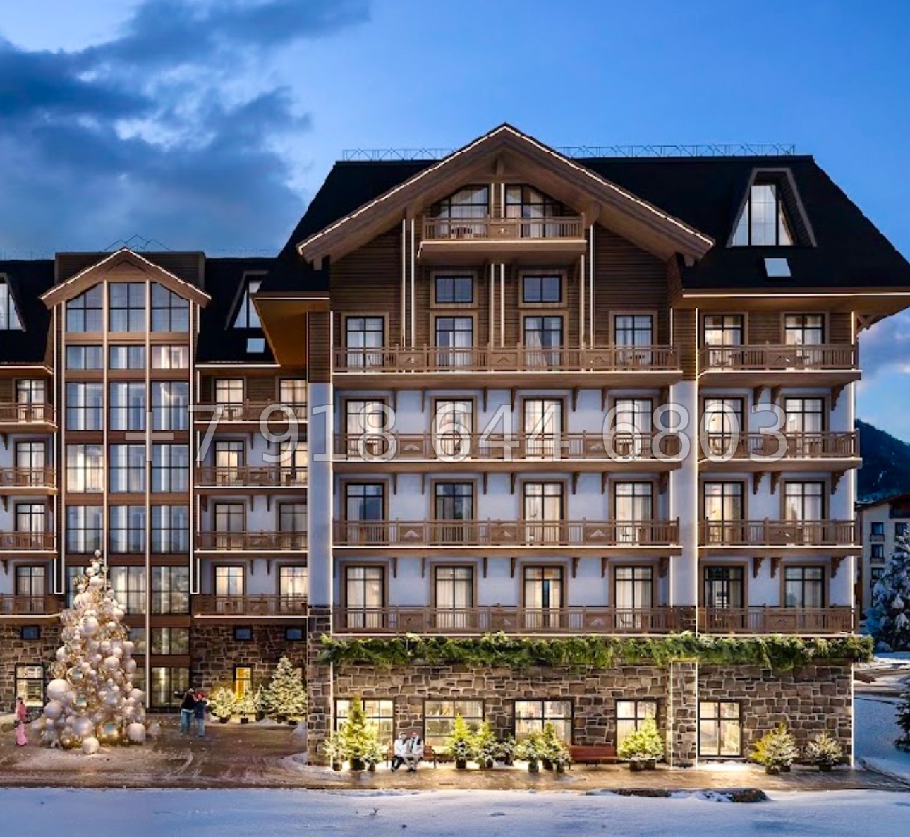 № 4ф. Cosmos Selection Arkhyz Архыз - миниатюра 6