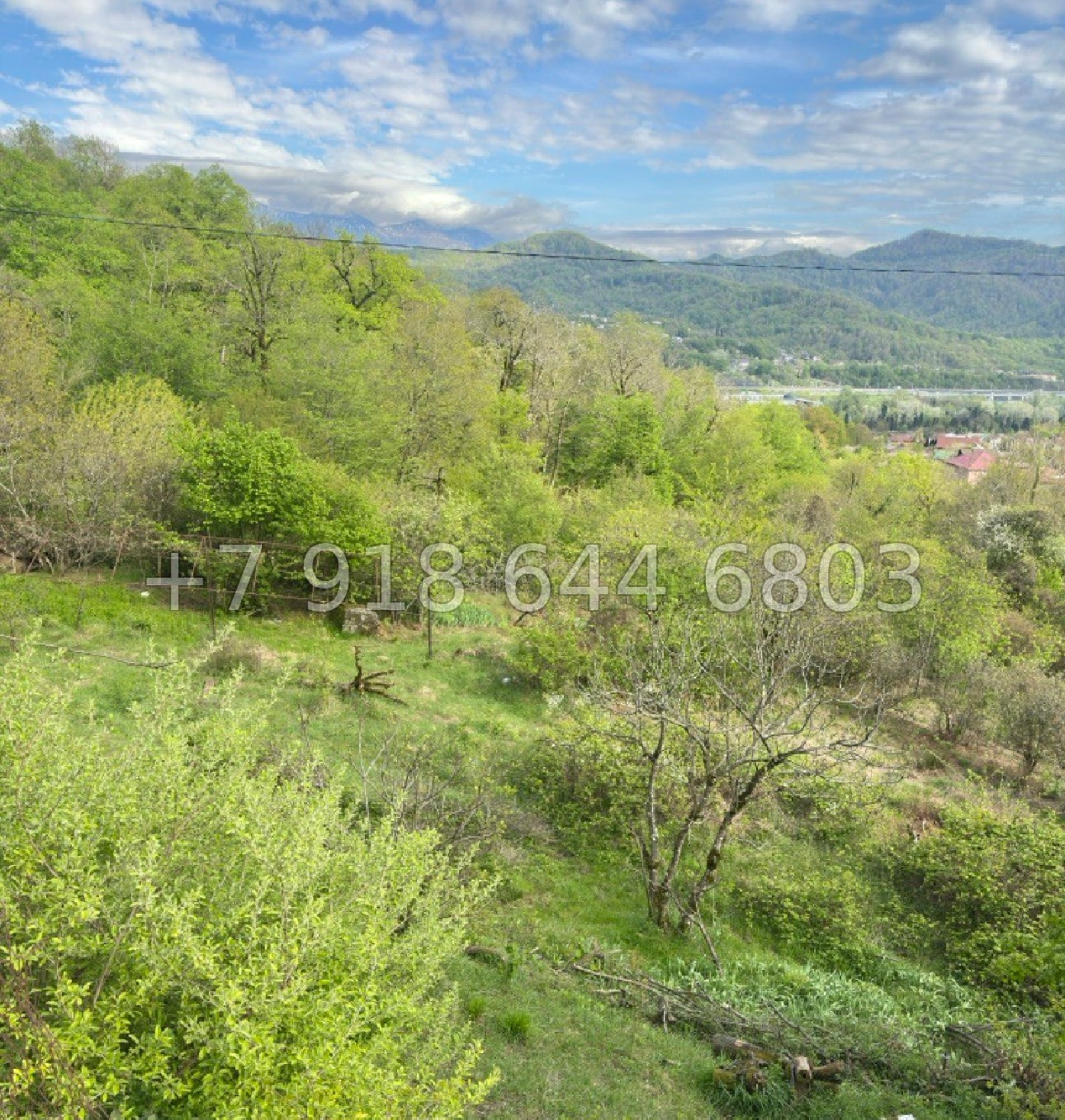 № 13 у. Земля в Адлере  - миниатюра 6