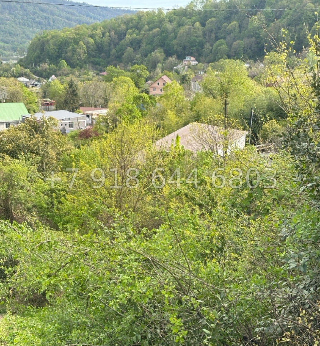 № 13 у. Земля в Адлере  - миниатюра 5