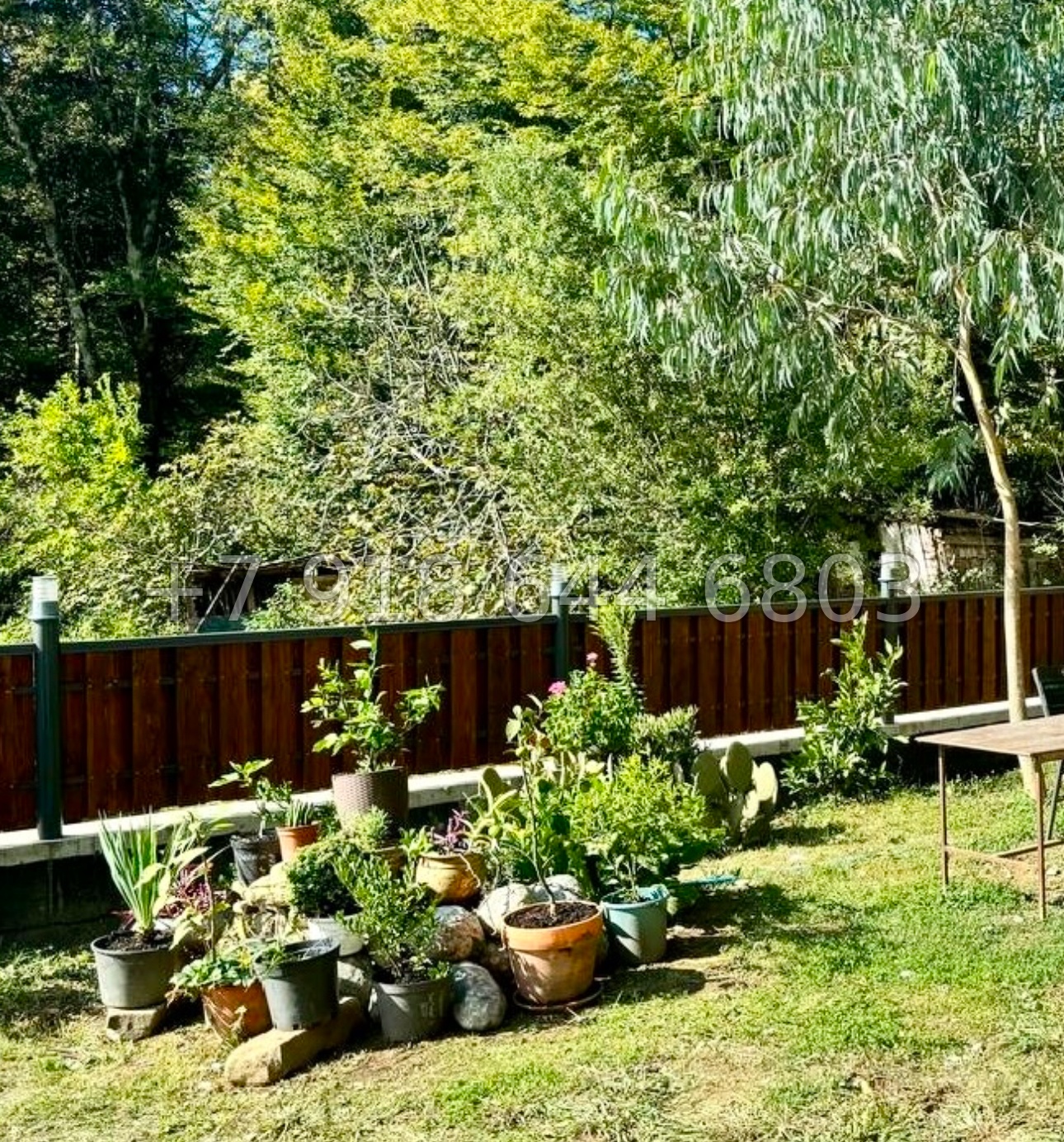 № 124 Б. Дом Шале в Сочи  - миниатюра 10