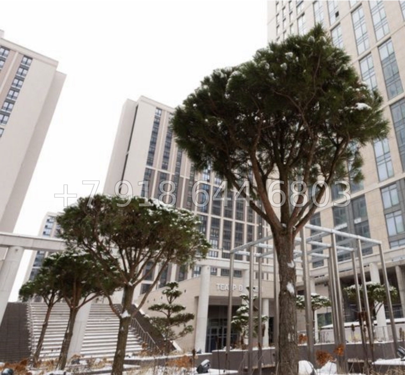 № 61 в. Метро Московская. ЖК Дефанс Санкт Петербург  - миниатюра 15