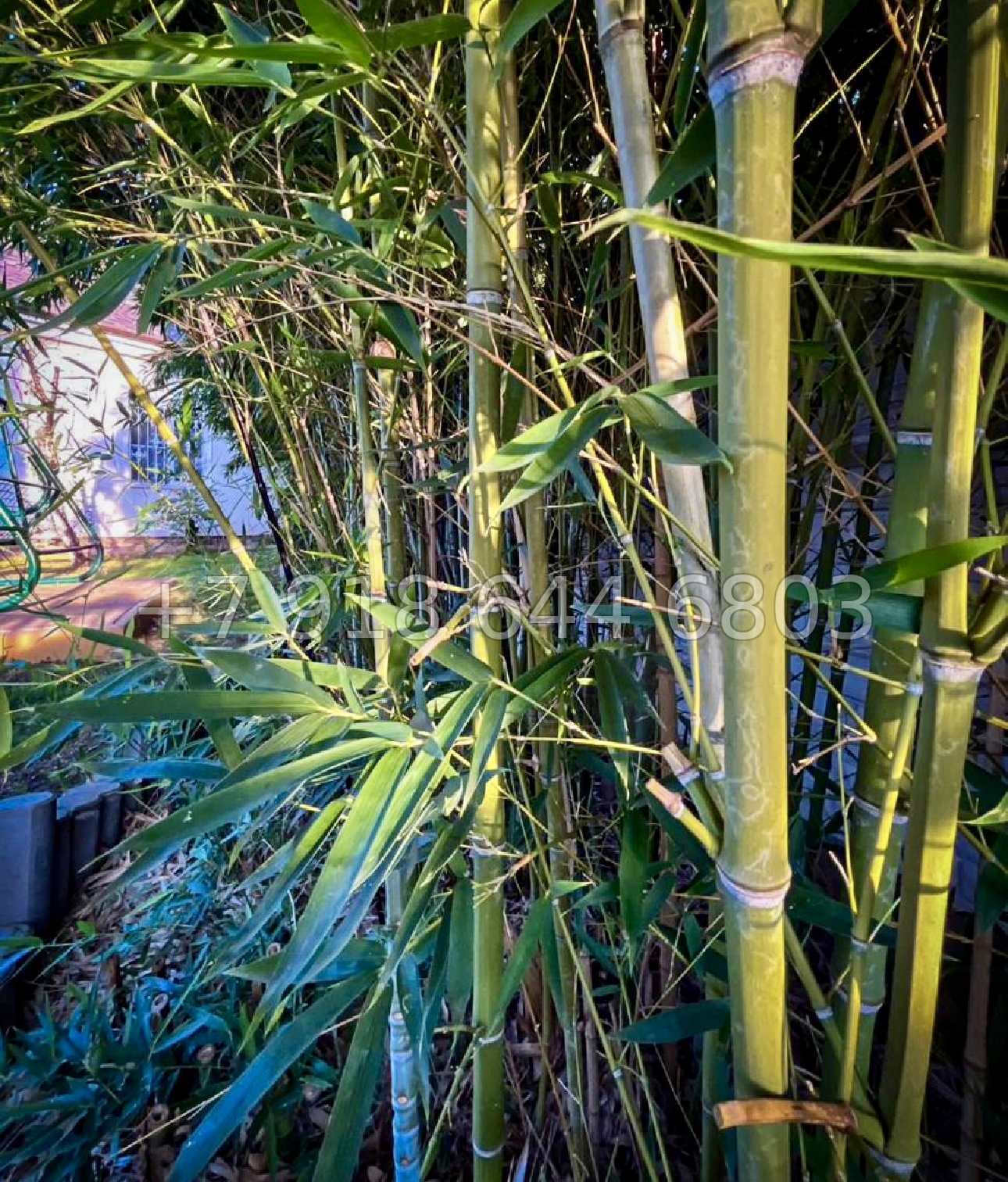 № 32в. Дом в стиле Прованс в городе Сочи  - миниатюра 18