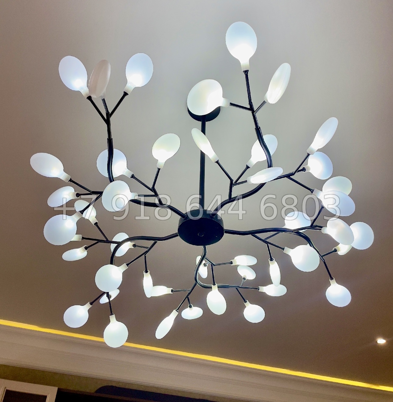 № 448 р. Квартира в центре Адлера  - миниатюра 3