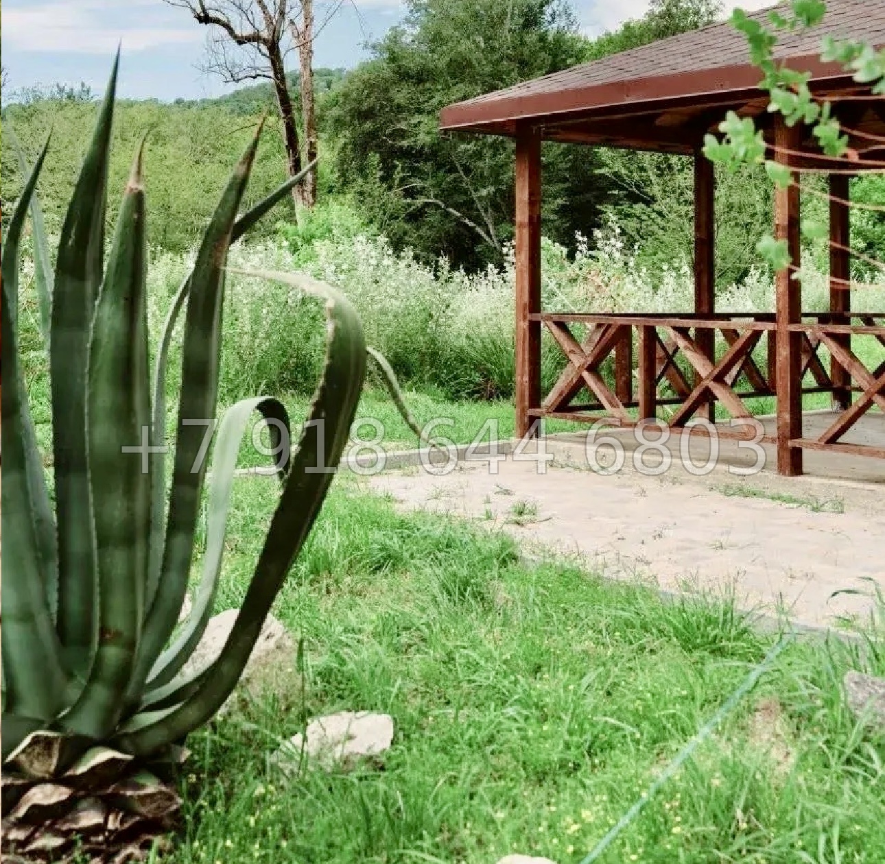 № 532 р. ЖК Лукоморье . Квартира в Сочи на Мацесте  - миниатюра 4