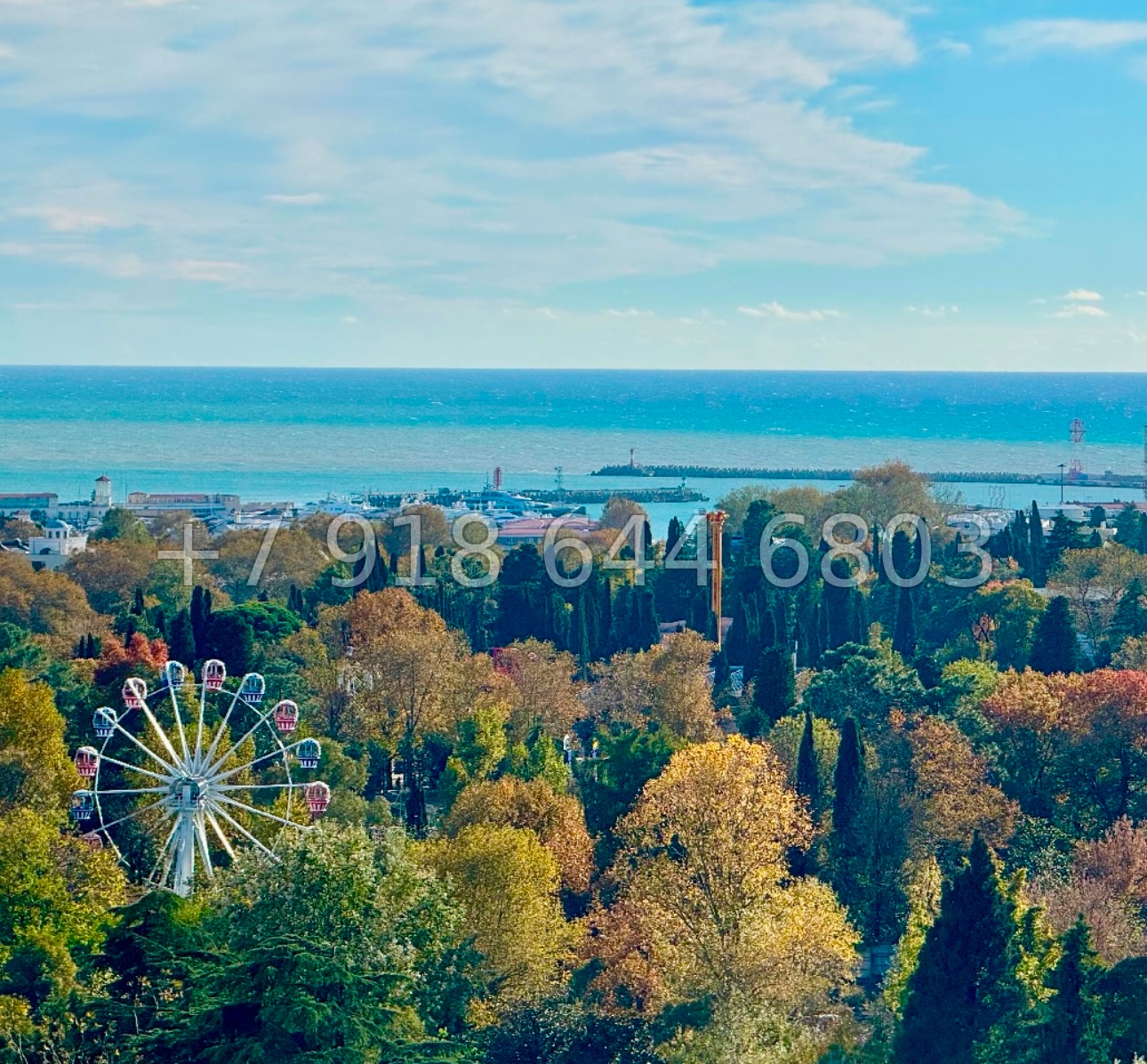 № 572 р. Квартира у парка Ривьера Сочи с бассейном  - миниатюра 12