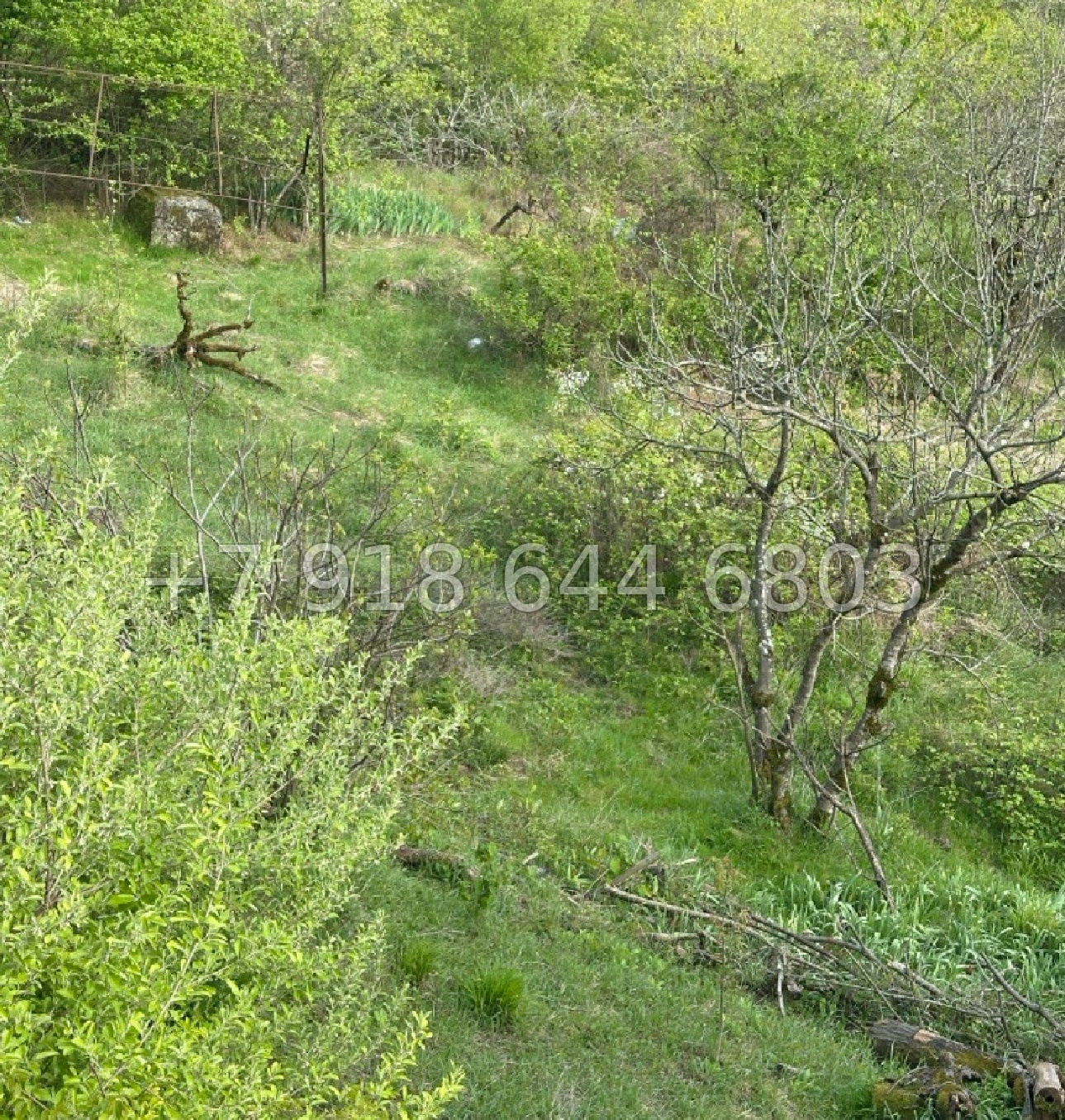 № 13 у. Земля в Адлере  - миниатюра 9