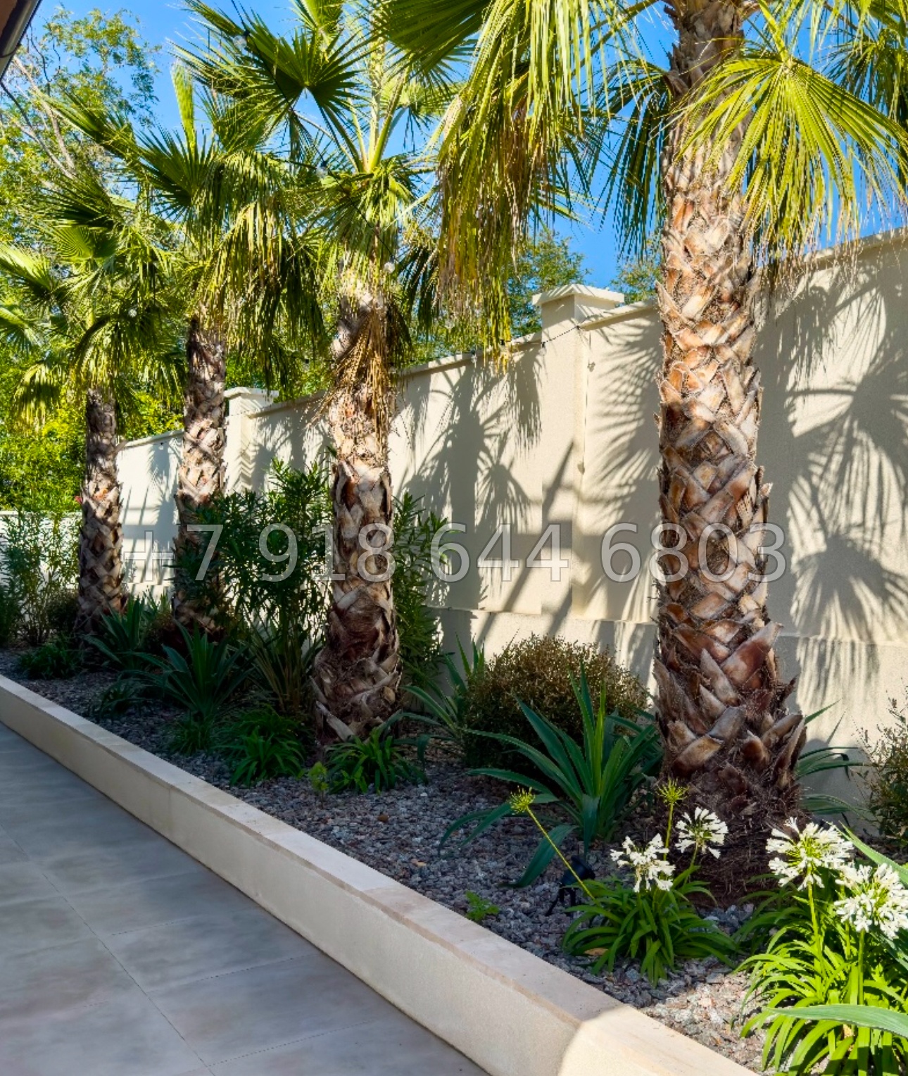 № 6 В. Таких домов вы еще не видели  - миниатюра 6