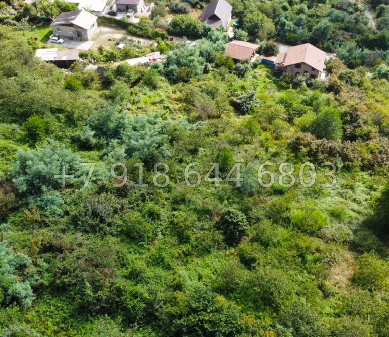 № 17 у. Земля в Адлере  - миниатюра 4