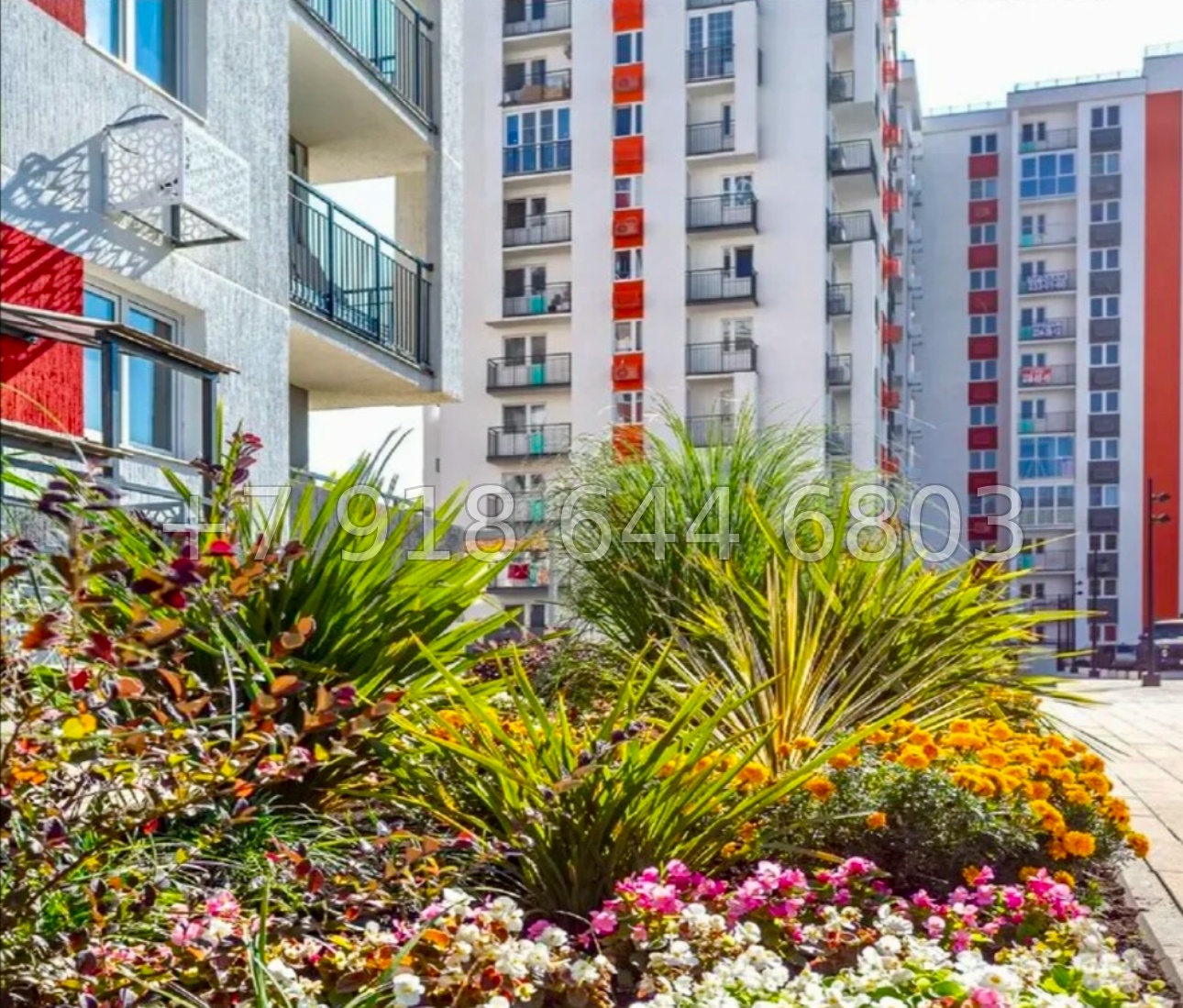 № 103 р. Квартира в Сириусе ЖК Фрукты  - миниатюра 15