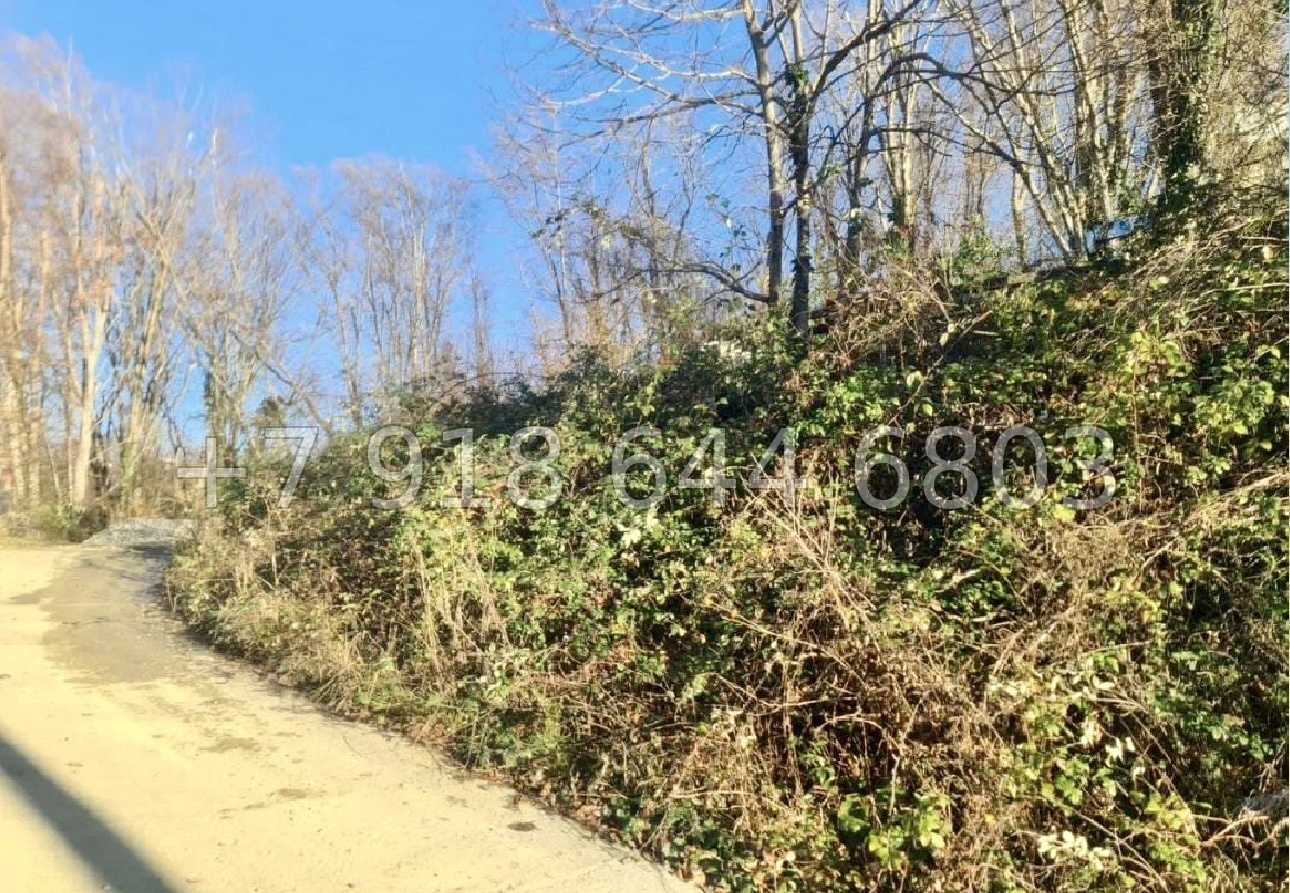 № 1 у. Земля в Сочи  - миниатюра 3