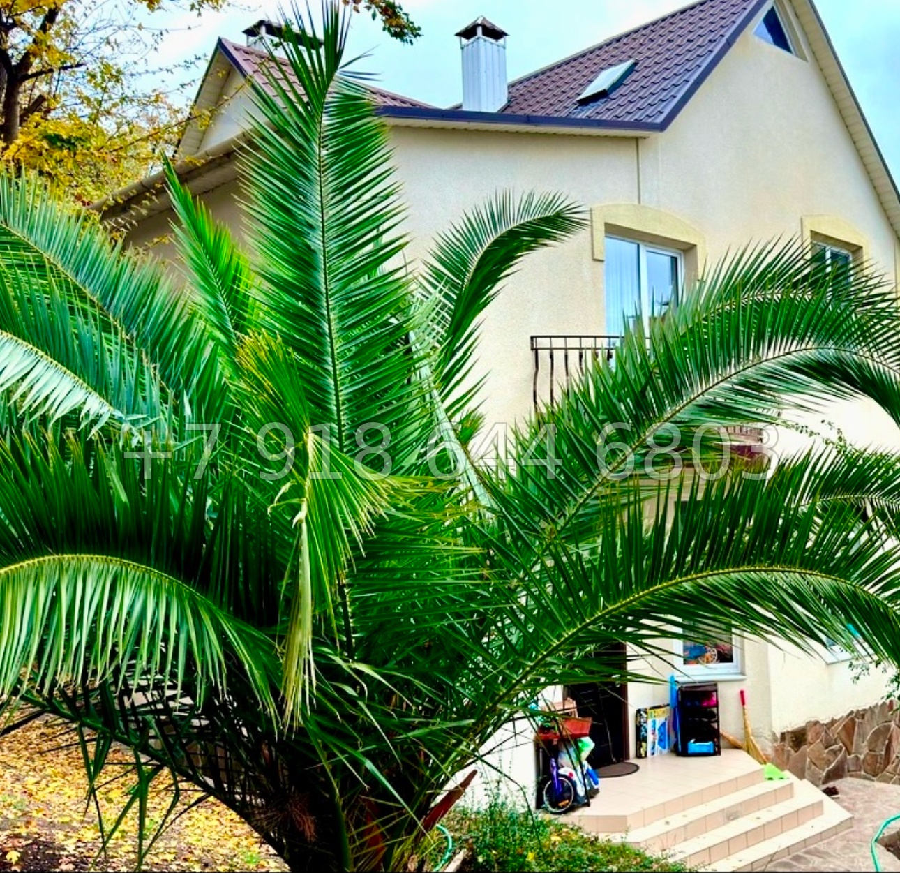 № 14 н. Дом в Ялте  - миниатюра 1