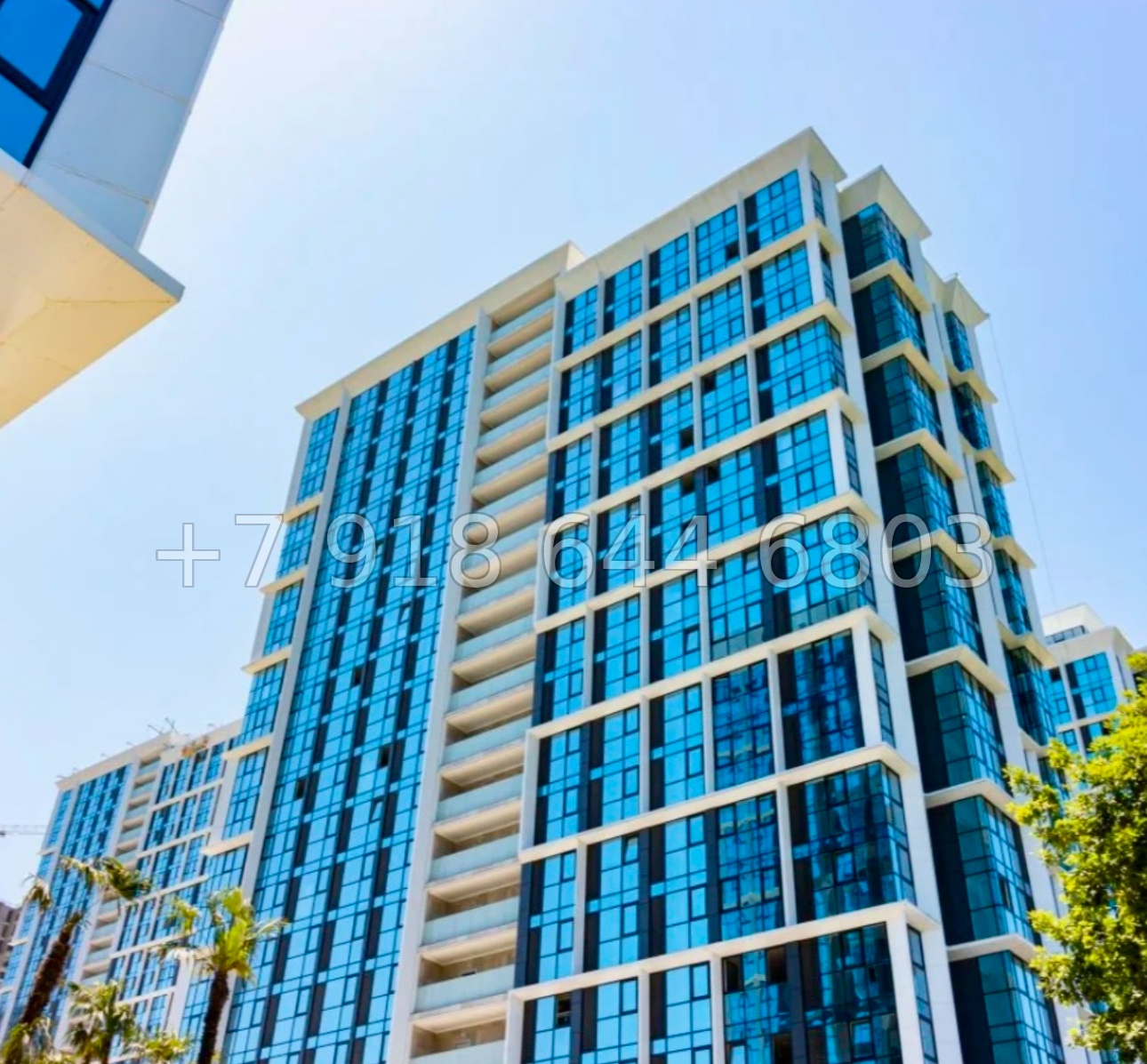 № 123 п. ЖК Сочи Парк квартира  - миниатюра 13