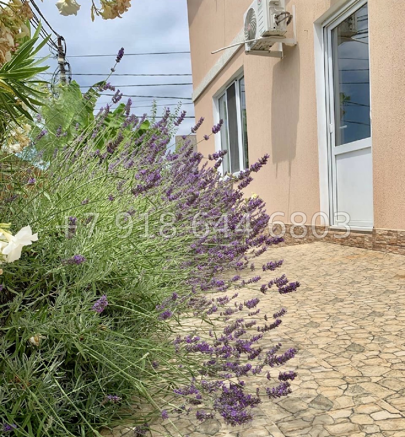 № 112 А. Дом с ремонтом в Сочи Лоо - миниатюра 4