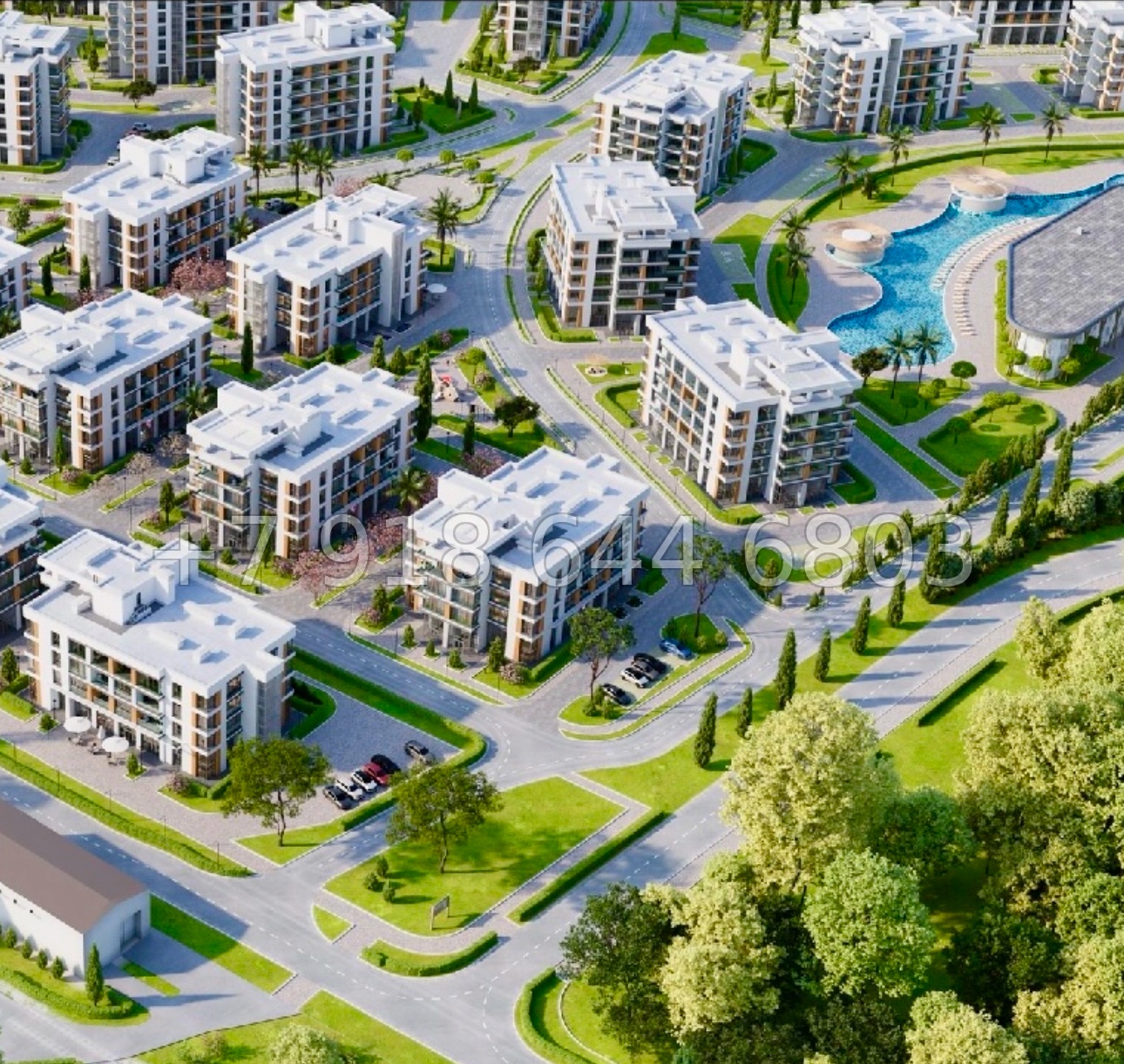 № 46 ю. АК Сады Киммерии Саки - миниатюра 15