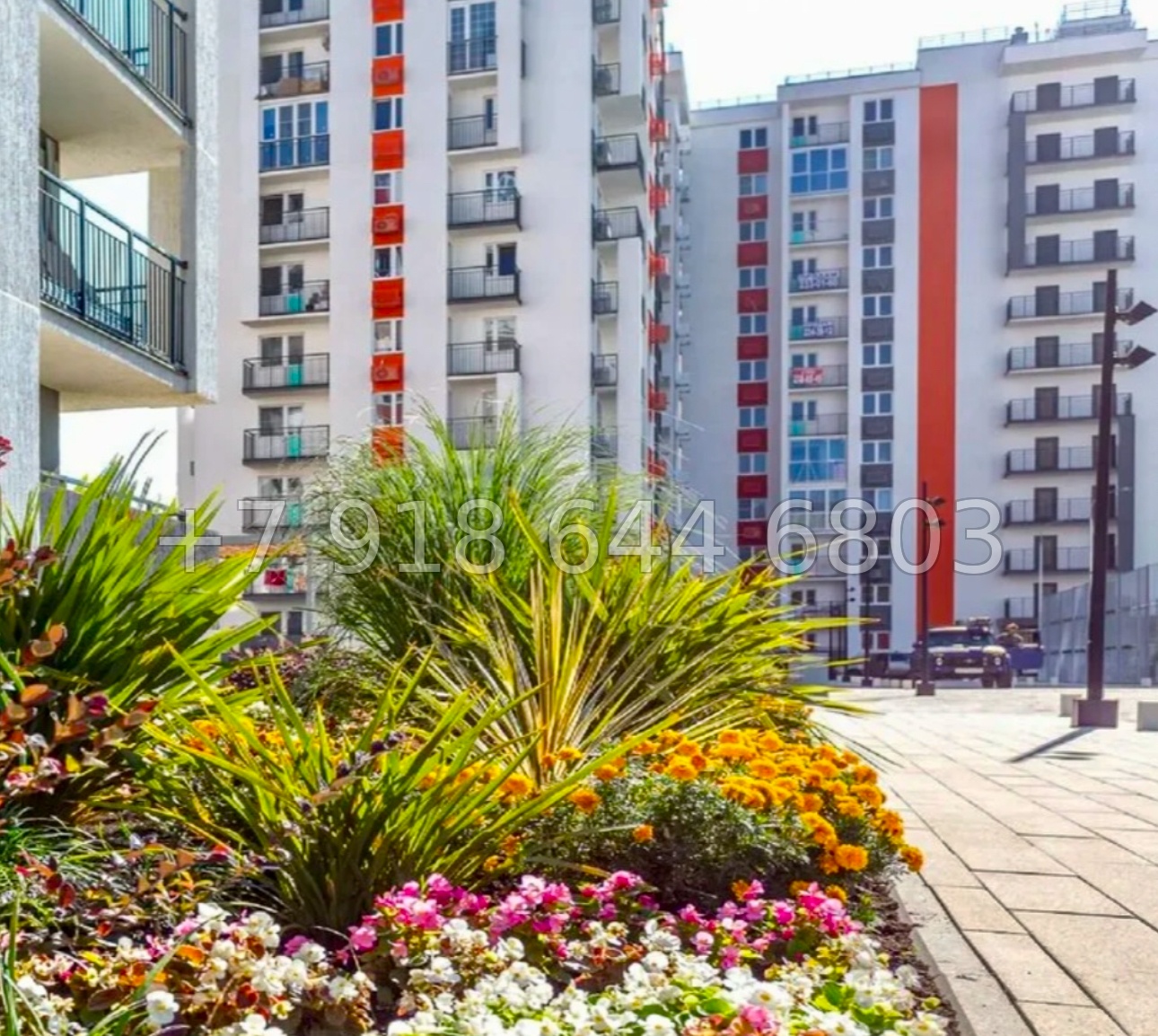 № 55р. Роскошная квартира в Сириусе. ЖК Фрукты Сириус  - миниатюра 10